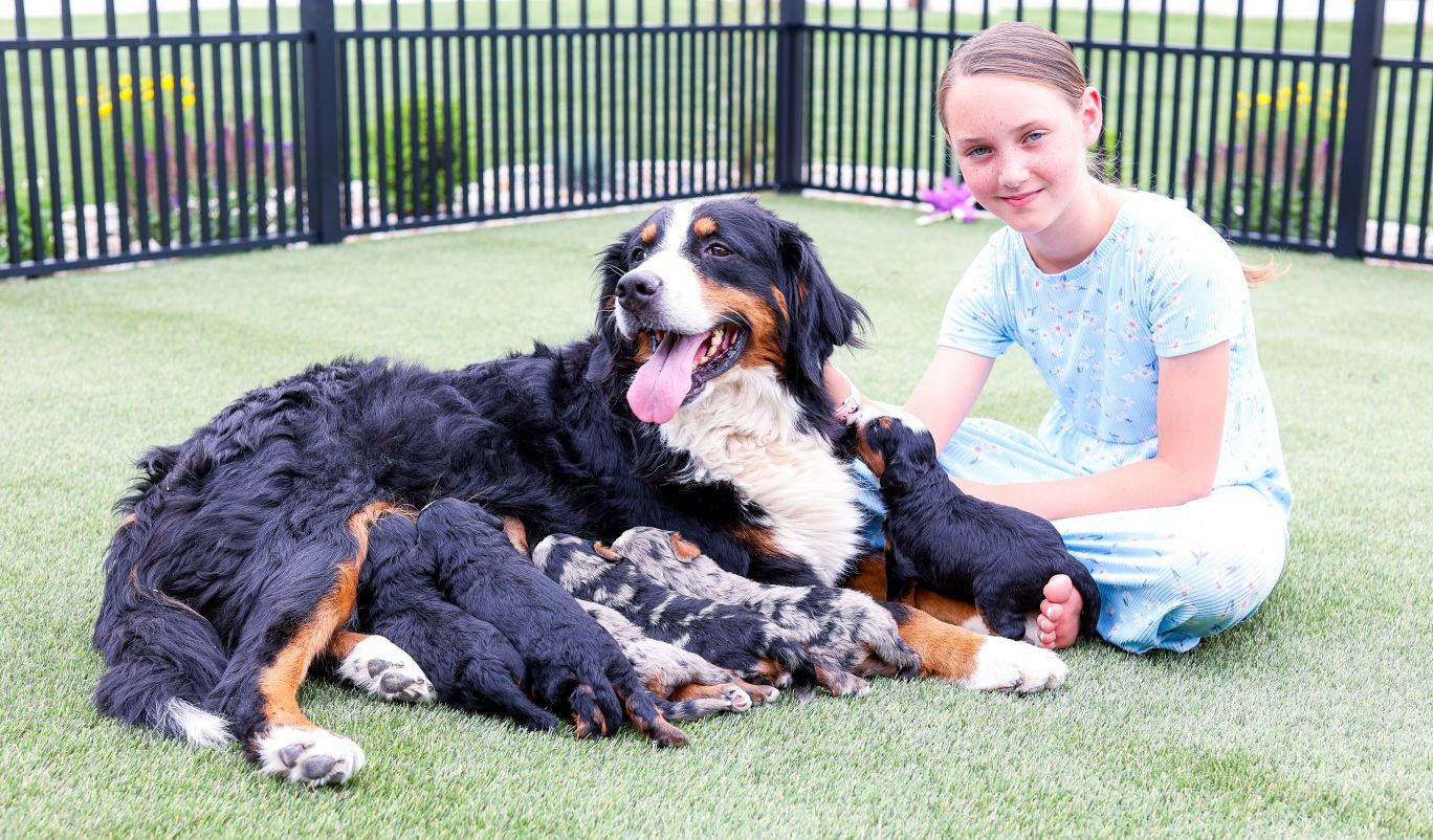 Family photo of CID Breeder