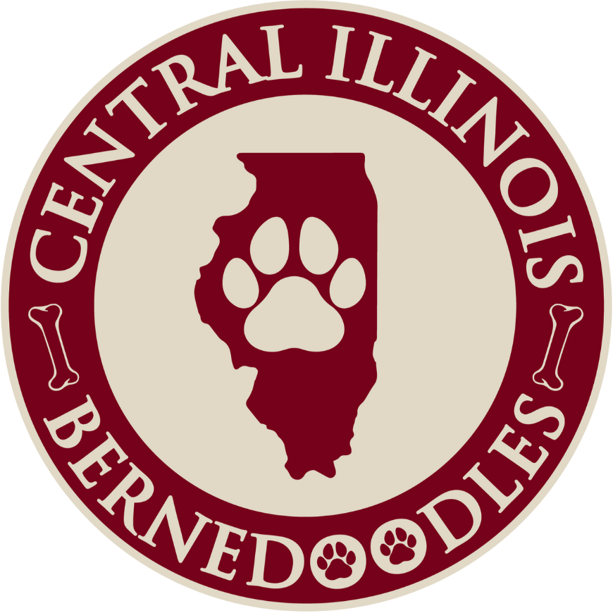 Central Illinois Bernedoodles Logo