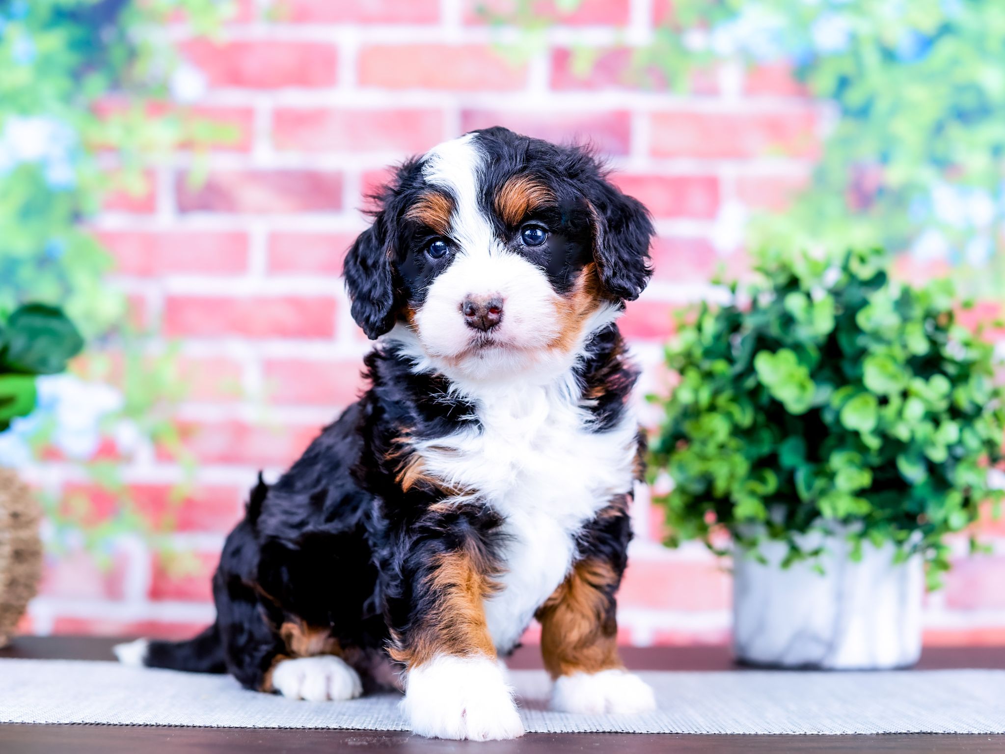 PSX_20250128_160715_compress41 PSX 20250128 160715 compress41