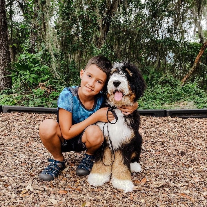 child with bernedoodle dog