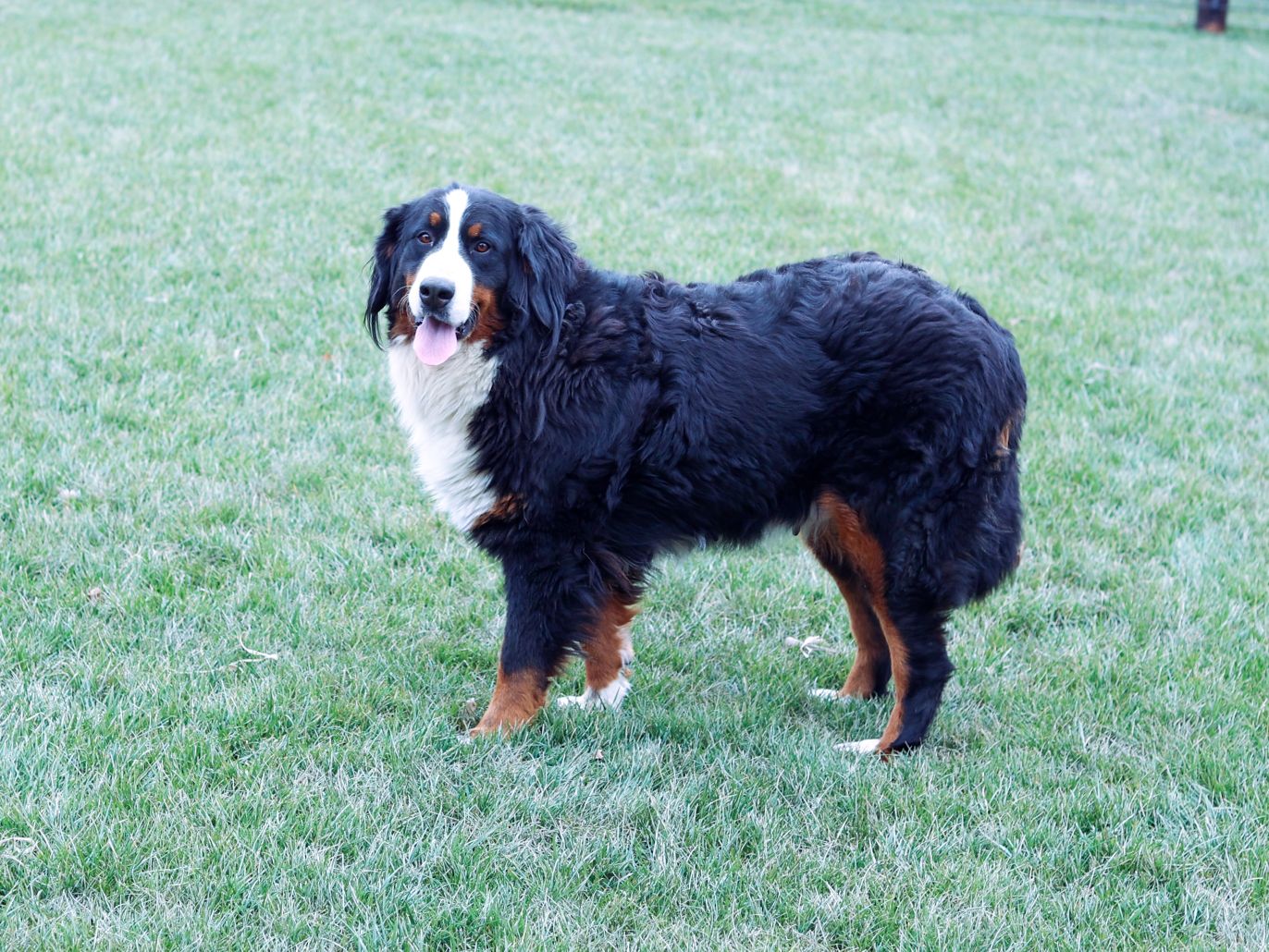 kate-mother kate mother