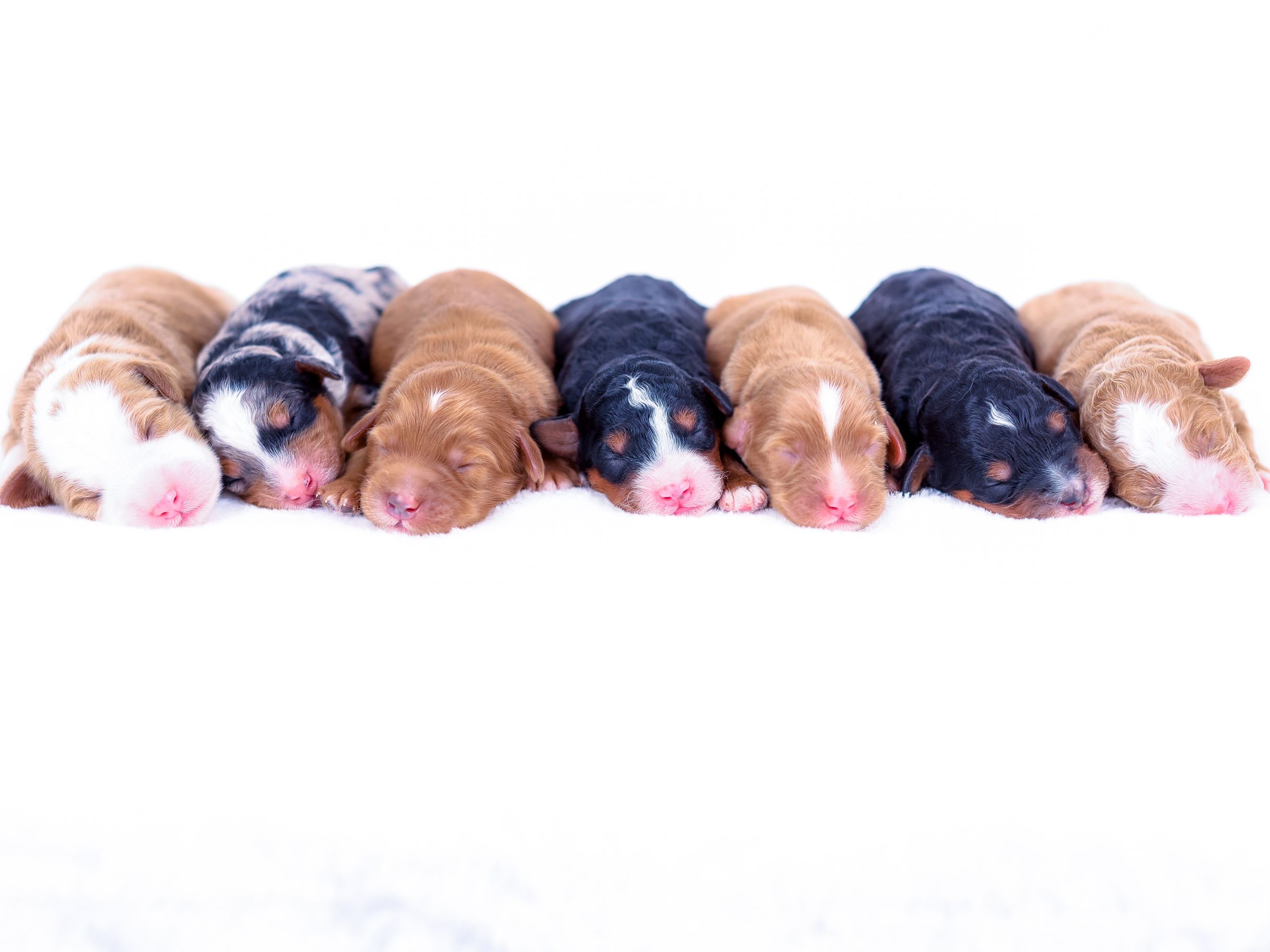 leah-males leah males