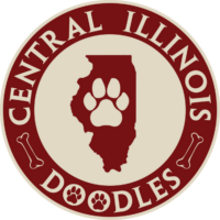 Central Illinois Doodles Logo