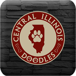 logo central illinois doodles email 2