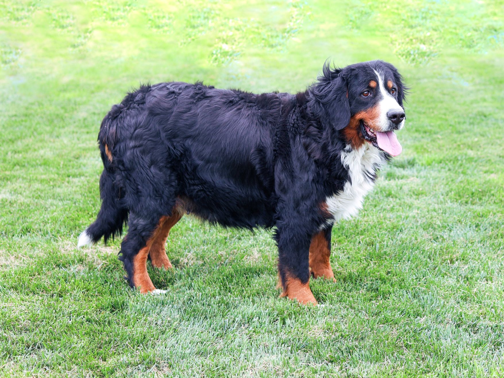 piper mother